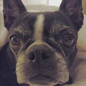 Meet your Posher, Ava